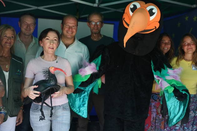News Bilder des Tages Andalusia Receives 15 Northern Bald Ibis from Germany The Regional Minister of Sustainability and the Environment for the Regional Government of Andalusia, Fina Martínez 2i, attends the ceremony in Barbate, Cádiz, to welcome 15 northern bald ibises (Geronticus eremita) from Germany. October 2, 2026, in Barbate, Cádiz, Andalusia, Spain. OCTOBER 2, 2026, Barbate, Cádiz, Andalusia, Spain Barbate, Cádiz, Andalusia, Spain Spain Copyright: xNachoxFradex 7815338