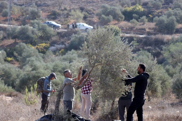 Israeli settlers intervene against Palestinians olive-picking event in Nablus town NABLUS, WEST BANK, PALESTINE - OCTOBER 02: Israeli settlers, under the protection of Israeli forces, intervene against an olive-picking event organized by Palestinians and a group of activists in the town of Beita, in Nablus, West Bank, Palestine on October 02, 2026. Issam Rimawi Anadolu Nablus West Bank. Editorial use only. Please get in touch for any other usage.  Copyright: x2026xAnadoluxIssamxRimawix