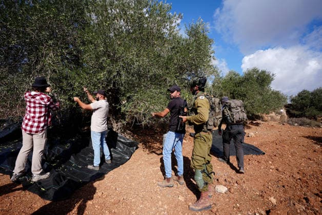 Israeli settlers intervene against Palestinians olive-picking event in Nablus town NABLUS, WEST BANK, PALESTINE - OCTOBER 02: Israeli settlers, under the protection of Israeli forces, intervene against an olive-picking event organized by Palestinians and a group of activists in the town of Beita, in Nablus, West Bank, Palestine on October 02, 2026. Issam Rimawi Anadolu Nablus West Bank. Editorial use only. Please get in touch for any other usage.  Copyright: x2026xAnadoluxIssamxRimawix