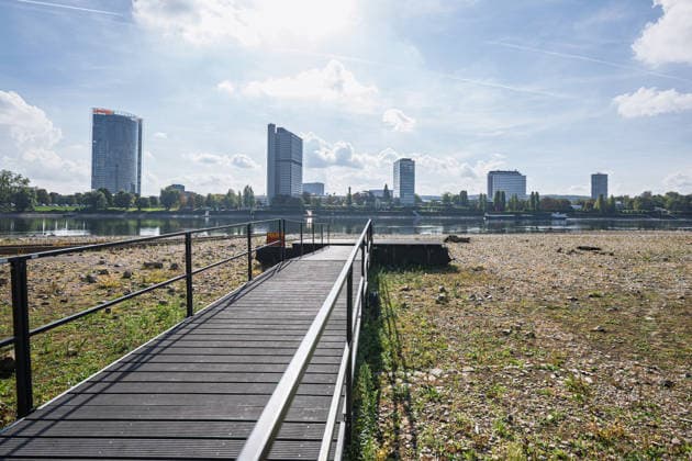 Niedrigwasser am Rhein in Bonn - 02.10.26 Nach den jüngsten Regenfällen steigt der Pegel Bonn wieder leicht an und liegt bei 64 cm nur wenig über dem Rekordtief von 58 cm vom 29. September. Am Beueler Rheinufer liegt der alte Bootsslip der DLRG Bonn trocken, auch der nahegelegene Bootssteg der DLRG ist vom Niedrigwasser betroffen. Im Hintergrund die Bonner Skyline mit Post Tower, Langer Eugen, Climate Tower (UN Campus), Radisson Blu Hotel am WCCB und dem Hochhaus Stadtquartier Neuer Kanzlerplatz. Bonn Beuel Nordrhein-Westfalen Deutschland Copyright: xMarcxJohnx