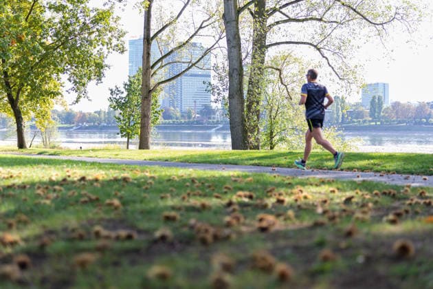 Niedrigwasser am Rhein in Bonn: Blick vom Beueler Ufer - 02.10.26 Blick vom Beueler Rheinufer auf das durch die anhaltende Niedrigwasserlage größtenteils trockenliegende Flussbett des Rheins in Bonn. Die Schifffahrt ist eingeschränkt, der Pegel Bonn liegt bei 64 cm und damit nur wenig über dem Rekordtief von 58 cm vom 29. September. Kastanien liegen auf den Wiesen Bonn Beuel Nordrhein-Westfalen Deutschland Copyright: xMarcxJohnx