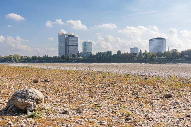 Niedrigwasser am Rhein in Bonn: Blick vom Beueler Ufer - 02.10.26 Blick vom Beueler Rheinufer auf das durch die anhaltende Niedrigwasserlage größtenteils trockenliegende Flussbett des Rheins in Bonn. Die Schifffahrt ist eingeschränkt, der Pegel Bonn liegt bei 64 cm und damit nur wenig über dem Rekordtief von 58 cm vom 29. September. Im Hintergrund die Bonner Skyline mit Post Tower, Langer Eugen, Climate Tower (UN Campus), Radisson Blu Hotel am WCCB Bonn Beuel Nordrhein-Westfalen Deutschland Copyright: xMarcxJohnx