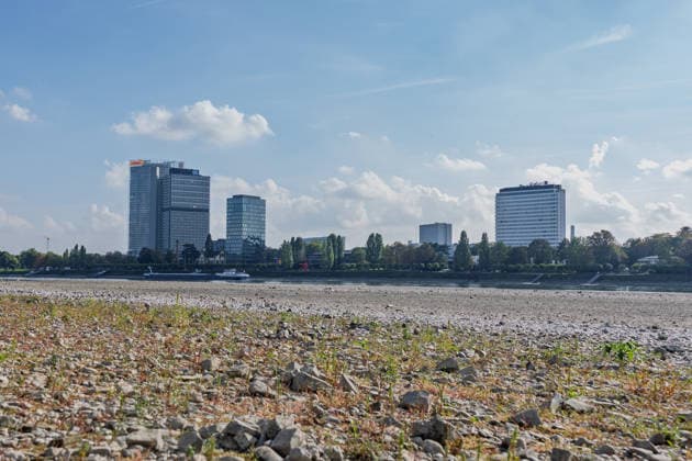 Niedrigwasser am Rhein in Bonn: Blick vom Beueler Ufer - 02.10.26 Blick vom Beueler Rheinufer auf das durch die anhaltende Niedrigwasserlage größtenteils trockenliegende Flussbett des Rheins in Bonn. Die Schifffahrt ist eingeschränkt, der Pegel Bonn liegt bei 64 cm und damit nur wenig über dem Rekordtief von 58 cm vom 29. September. Im Hintergrund die Bonner Skyline mit Post Tower, Langer Eugen, Climate Tower (UN Campus), Radisson Blu Hotel am WCCB Bonn Beuel Nordrhein-Westfalen Deutschland Copyright: xMarcxJohnx