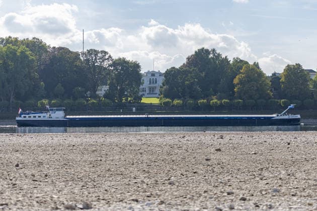 Niedrigwasser am Rhein in Bonn: Blick vom Beueler Ufer - 02.10.26 Blick vom Beueler Rheinufer auf das durch die anhaltende Niedrigwasserlage größtenteils trockenliegende Flussbett des Rheins in Bonn. Die Schifffahrt ist eingeschränkt, der Pegel Bonn liegt bei 64 cm und damit nur wenig über dem Rekordtief von 58 cm vom 29. September. Freiliegender Bootssteg. Im Hintergrund die Villa Hammeschmidt. Vorbeiziehendes Frachtschiff Bonn Beuel Nordrhein-Westfalen Deutschland Copyright: xMarcxJohnx