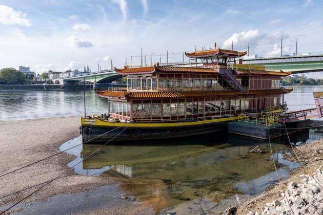 Niedrigwasser am Rhein in Bonn: Das China-Schiff an der Kennedybrücke - 02.10.26 Blick auf die Kennedybrücke in Bonn: Durch die anhaltende Niedrigwasserlage liegt das sogenannte China-Schiff, das seit 2023 geschlossene Restaurantschiff Ocean Paradise , fast trocken. Die Schifffahrt ist eingeschränkt, der Pegel Bonn liegt bei 64 cm und damit nur wenig über dem Rekordtief von 58 cm vom 29. September. Bonn Beuel Nordrhein-Westfalen Deutschland Copyright: xMarcxJohnx