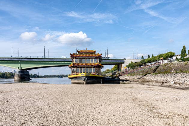 News Bilder des Tages #2 Niedrigwasser am Rhein in Bonn: Das China-Schiff an der Kennedybrücke - 02.10.26 Blick auf die Kennedybrücke in Bonn: Durch die anhaltende Niedrigwasserlage liegt das sogenannte China-Schiff, das seit 2023 geschlossene Restaurantschiff Ocean Paradise , fast trocken. Die Schifffahrt ist eingeschränkt, der Pegel Bonn liegt bei 64 cm und damit nur wenig über dem Rekordtief von 58 cm vom 29. September. Bonn Beuel Nordrhein-Westfalen Deutschland Copyright: xMarcxJohnx