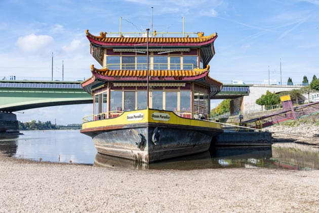 Niedrigwasser am Rhein in Bonn: Das China-Schiff an der Kennedybrücke - 02.10.26 Blick auf die Kennedybrücke in Bonn: Durch die anhaltende Niedrigwasserlage liegt das sogenannte China-Schiff, das seit 2023 geschlossene Restaurantschiff Ocean Paradise , fast trocken. Die Schifffahrt ist eingeschränkt, der Pegel Bonn liegt bei 64 cm und damit nur wenig über dem Rekordtief von 58 cm vom 29. September. Bonn Beuel Nordrhein-Westfalen Deutschland Copyright: xMarcxJohnx