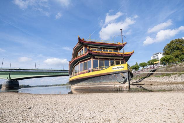 Niedrigwasser am Rhein in Bonn: Das China-Schiff an der Kennedybrücke - 02.10.26 Blick auf die Kennedybrücke in Bonn: Durch die anhaltende Niedrigwasserlage liegt das sogenannte China-Schiff, das seit 2023 geschlossene Restaurantschiff Ocean Paradise , fast trocken. Die Schifffahrt ist eingeschränkt, der Pegel Bonn liegt bei 64 cm und damit nur wenig über dem Rekordtief von 58 cm vom 29. September. Bonn Beuel Nordrhein-Westfalen Deutschland Copyright: xMarcxJohnx