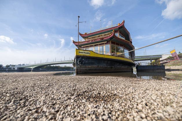Niedrigwasser am Rhein in Bonn: Das China-Schiff an der Kennedybrücke - 02.10.26 Blick auf die Kennedybrücke in Bonn: Durch die anhaltende Niedrigwasserlage liegt das sogenannte China-Schiff, das seit 2023 geschlossene Restaurantschiff Ocean Paradise , fast trocken. Die Schifffahrt ist eingeschränkt, der Pegel Bonn liegt bei 64 cm und damit nur wenig über dem Rekordtief von 58 cm vom 29. September. Bonn Beuel Nordrhein-Westfalen Deutschland Copyright: xMarcxJohnx