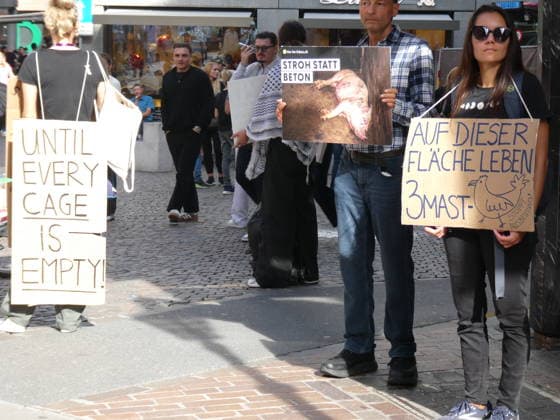 03.10.26 Luzern Schweiz. Demonstranten Tiere,Tierversuche. Bild :Demo und Aktionen gegen Tierversuche und Tierschutz.