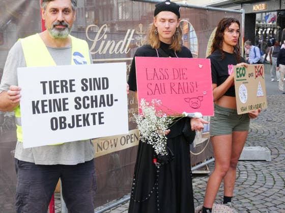 03.10.26 Luzern Schweiz. Demonstranten Tiere,Tierversuche. Bild :Demo und Aktionen gegen Tierversuche und Tierschutz.