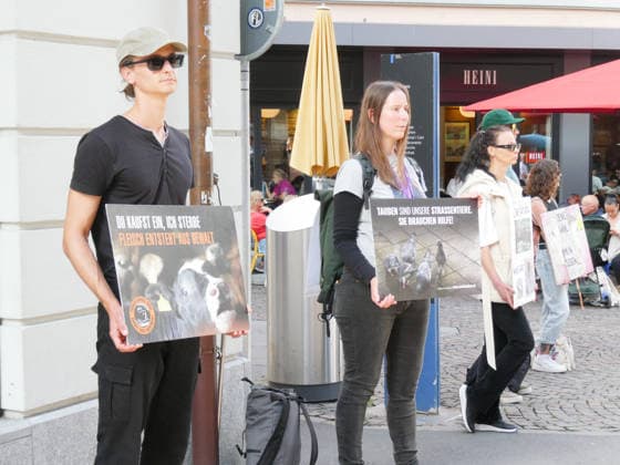03.10.26 Luzern Schweiz. Demonstranten Tiere,Tierversuche. Bild :Demo und Aktionen gegen Tierversuche und Tierschutz.