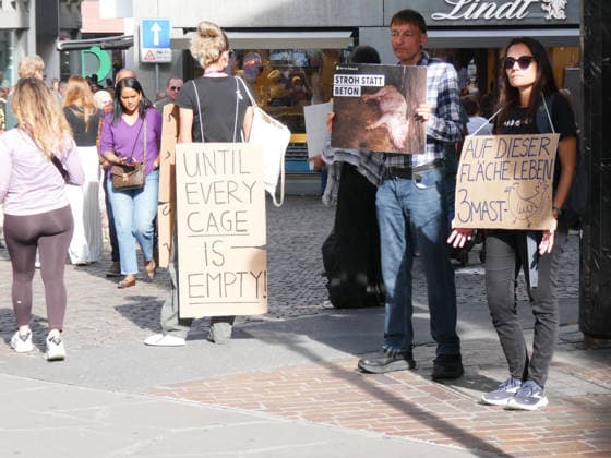 03.10.26 Luzern Schweiz. Demonstranten Tiere,Tierversuche. Bild :Demo und Aktionen gegen Tierversuche und Tierschutz.