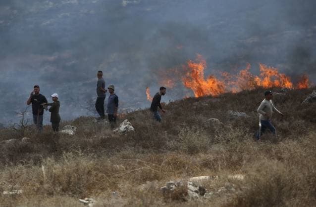 Palestinian Farmers and Civil Defense Extinguish Fire in Asira al-Qibliya ASIRA AL-QIBLIYA, PALESTINE OCTOBER 3, 2026: Palestinian farmers and civil defense personnel extinguished a fire in agricultural fields in Asira al-Qibliya village, south of Nablus, after Israeli army forces fired tear gas in the area. Israeli forces had prevented Palestinians from harvesting olives. Nablus Palestine, State of Copyright: x xNedalxShtiehx xJNAxPressx