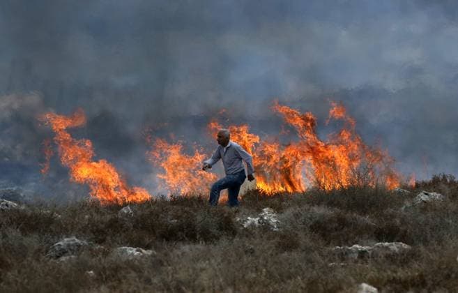 Palestinian Farmers and Civil Defense Extinguish Fire in Asira al-Qibliya ASIRA AL-QIBLIYA, PALESTINE OCTOBER 3, 2026: Palestinian farmers and civil defense personnel extinguished a fire in agricultural fields in Asira al-Qibliya village, south of Nablus, after Israeli army forces fired tear gas in the area. Israeli forces had prevented Palestinians from harvesting olives. Nablus Palestine, State of Copyright: x xNedalxShtiehx xJNAxPressx