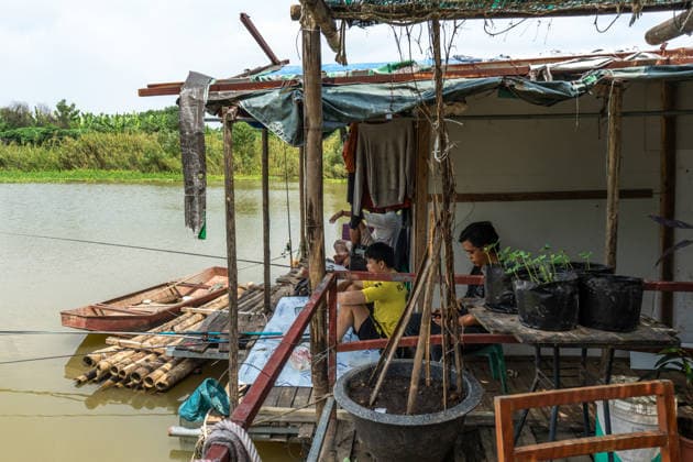 Floating homes offer a way of life adapted to recurrent flooding in Hanoi HANOI, VIETNAM - OCTOBER 3: Residents go about their daily lives in a floating village built in an area that is regularly affected by flooding, with homes designed to rise with changing water levels, as seen in Hanoi, Vietnam, on October 3, 2026. The floating homes allow residents to adapt to recurring floods while continuing to live and work in the area. Magdalena Chodownik Anadolu Hanoi Vietnam. Editorial use only. Please get in touch for any other usage.  Copyright: x2026xAnadoluxMagdalenaxChodownikx