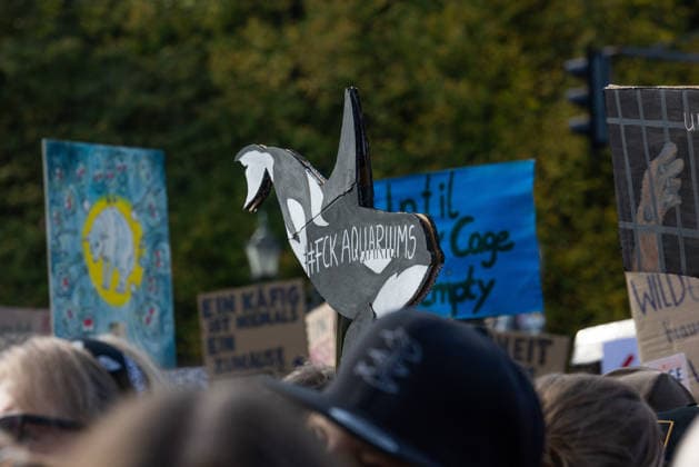 Robert Marc Lehmann bei Anti-Zoo-Demonstration in Berlin Berlin, Deutschland, 04.10.2026: Teilnehmer der F*CK ZOOS-Demonstration protestieren mit selbst gestalteten Plakaten und Schildern gegen die Haltung von Tieren in Zoos und Aquarien. Im Vordergrund ist ein Schild in Form eines Wals mit der Aufschrift FCK AQUARIUMS zu sehen. Berlin Deutschland Berlin
