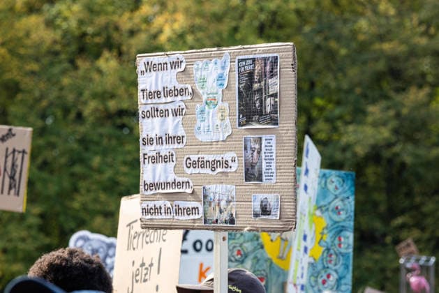 Robert Marc Lehmann Anti-Zoo-Demonstration in Berlin Berlin, Deutschland, 04.10.2026: Eine Teilnehmer der F*CK ZOOS-Demonstration zeigt ein selbst gestaltetes Plakat mit der Botschaft Wenn wir Tiere lieben, sollten wir sie in ihrer Freiheit bewundern, nicht in ihrem Gefängnis. Die Demonstration findet am Brandenburger Tor statt und richtet sich gegen die Haltung von Wildtieren in Zoos. Berlin Deutschland Berlin