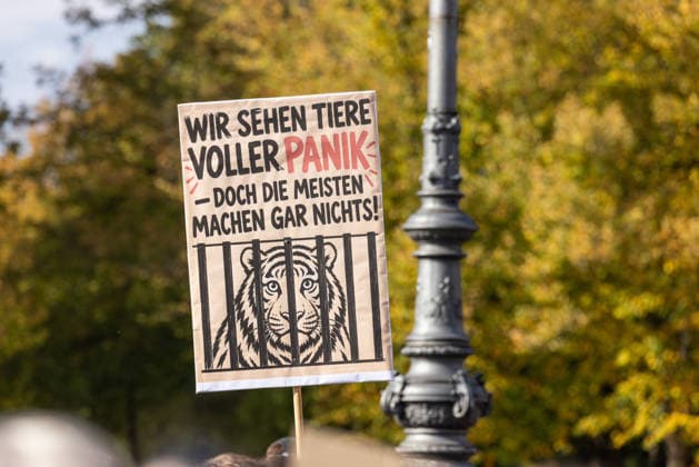 Robert Marc Lehmann bei Anti-Zoo-Demonstration in Berlin Berlin, Deutschland, 04.10.2026: Ein Teilnehmer der F*CK ZOOS-Demonstration hält ein Protestplakat mit der Aufschrift Wir sehen Tiere voller Panik doch die meisten machen gar nichts! und der Darstellung eines Tigers hinter Gitterstäben. Die Kundgebung findet am Brandenburger Tor statt. Berlin Deutschland Berlin