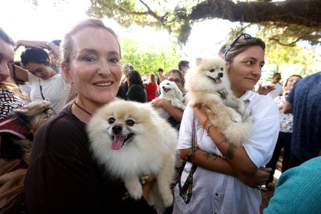 October 4, 2026, Rio De Janeiro, Rio De Janeiro, Brazil: Pet parents wait with their beloved animals to be blessed as over 100 pets gathered at Praca Nossa Senhora da Paz in Ipanema, spreading prayers and holy water, as Nossa Senhora da Paz Church celebrated the Feast of St. Francis of Assisi with the traditional Blessing of the Animals honoring the patron saint of ecology and all creatures great and small. Rio De Janeiro Brazil  - ZUMAk251 20261004_znp_k251_007 Copyright: xBobxKarpx