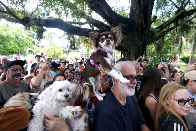 October 4, 2026, Rio De Janeiro, Rio De Janeiro, Brazil: Pet parents wait with their beloved animals to be blessed as over 100 pets gathered at Praca Nossa Senhora da Paz in Ipanema, spreading prayers and holy water, as Nossa Senhora da Paz Church celebrated the Feast of St. Francis of Assisi with the traditional Blessing of the Animals honoring the patron saint of ecology and all creatures great and small. Rio De Janeiro Brazil - ZUMAk251 20261004_znp_k251_015 Copyright: xBobxKarpx