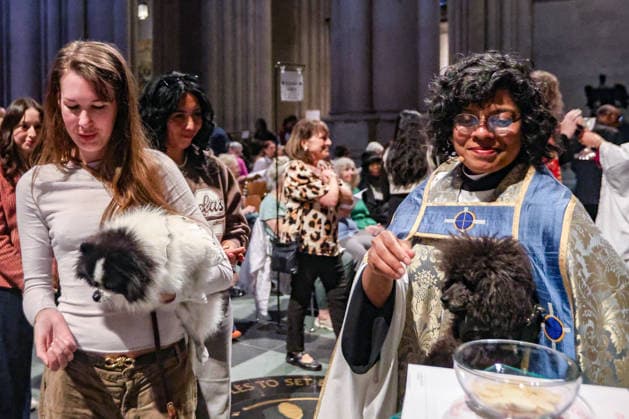 October 4, 2026, New York, New York, United States: The Very Reverend WINNIE VARGHESE, Dean of the Cathedral of St. John the Divine, gives a blessing to animals beneath Gaia, the seven-metre illuminated Earth installation by British artist LUKE JERRAM, in New York. The annual Blessing of the Animals, held in celebration of the Feast of St. Francis of Assisi, brings people and their beloved pets together at the Cathedral, honouring the relationship between people, animals and the natural world. New York United States - ZUMAo116 20261004_znp_o116_008 Copyright: xBiancaxOterox
