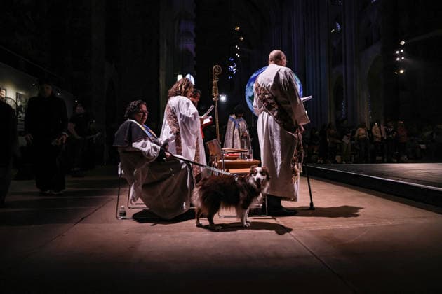 October 4, 2026, New York, New York, United States: A dog stands at the feet of Cathedral clergy during the Blessing of the Earth and Animals ceremony at the Cathedral of St. John the Divine in New York. The annual St. Francis Day celebration honours the relationship between people, animals and the natural world. New York United States  - ZUMAo116 20261004_znp_o116_020 Copyright: xBiancaxOterox