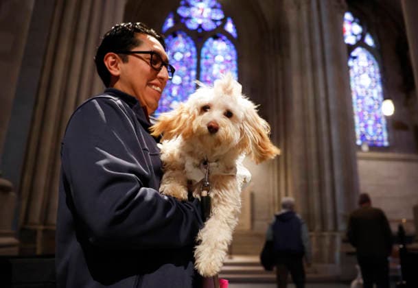 A pet dog arrives for a celebration of the Feast of St. Francis with the annual Blessing of the Animals ceremony held at the Cathedral Church of Saint John the Divine in New York City on Sunday, October 4, 2026. St. Francis of Assisi was the patron saint of animals.  NYP20261004115 JOHNxANGELILLO
