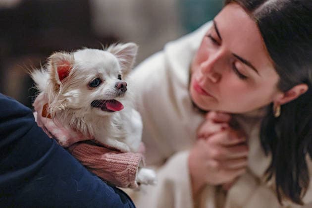 October 4, 2026, New York, New York, United States: A member of the clergy blesses a dog held in the arms of its owner during the annual St. Francis Day Blessing of the Earth and Animals at the Cathedral of St. John the Divine in New York. The celebration, honouring animals, the Earth and the natural world, also marked the 800th anniversary of the death of St. Francis of Assisi. New York United States  - ZUMAo116 20261004_znp_o116_045 Copyright: xBiancaxOterox