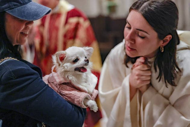 October 4, 2026, New York, New York, United States: A member of the clergy blesses a dog held in the arms of its owner during the annual St. Francis Day Blessing of the Earth and Animals at the Cathedral of St. John the Divine in New York. The celebration, honouring animals, the Earth and the natural world, also marked the 800th anniversary of the death of St. Francis of Assisi. New York United States - ZUMAo116 20261004_znp_o116_046 Copyright: xBiancaxOterox