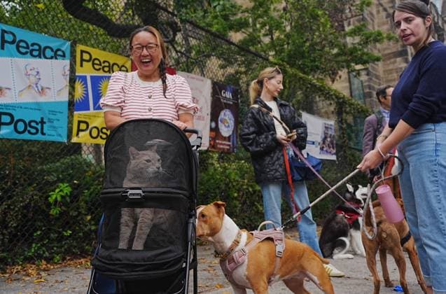 Annual animal blessing at the Cathedral of St. John the Divine in New York NEW YORK, UNITED STATES - OCTOBER 04: People attend with their pets at the annual animal blessing at the Cathedral of St. John the Divine on Sunday, October 4, 2026, in New York, U.S., celebrating the 800th anniversary of St. Francis of Assisi, the patron saint of the environment and ecology. Selcuk Acar Anadolu New York United States. Editorial use only. Please get in touch for any other usage.  Copyright: x2026xAnadoluxSelcukxAcarx