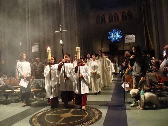 October 4, 2026, Manhattan, New York, U.S.A: New York, New York October 4, 2026.The Feast of St. Francis and Blessing of the Animals is a beloved Cathedral tradition all animals are welcomed at The Cathedral of Saint John the Divine. Manhattan U.S.A  - ZUMAc308 20261004_znp_c308_025 Copyright: xSamanthaxCotlerx
