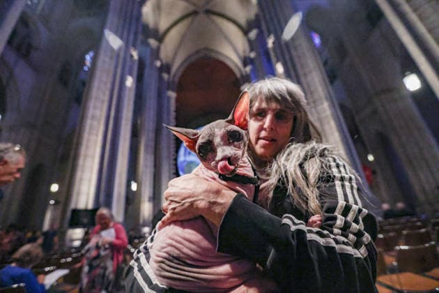 October 4, 2026, New York, New York, United States: A woman holds her cat with the Gaia in the background. The monumental illuminated Earth installation by British artist LUKE JERRAM, during the annual St. Francis Day Blessing of the Earth and Animals at the Cathedral of St. John the Divine in New York. The celebration also marked the 800th anniversary of the death of St. Francis of Assisi. New York United States  - ZUMAo116 20261004_znp_o116_055 Copyright: xBiancaxOterox