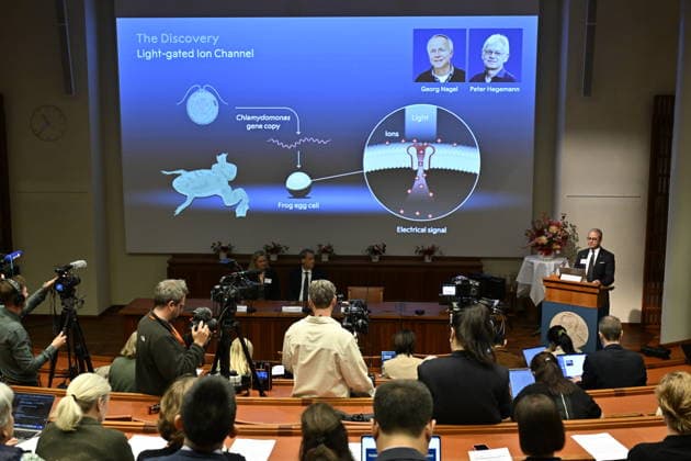 Karl Deisseroth, Peter Hegemann, and Georg Nagel have been awarded the 2026 Nobel Prize in Physiology or Medicine, as announced during a press conference at the Nobel Forum at Karolinska Institutet in Stockholm, Sweden, on October 5, 2026 STOCKHOLM SWEDEN x10050x  Copyright: xPontusxLundahl TTx SWEDEN NOBEL PRIZE 2026 PHYSIOLOGY OR MEDICINE FTVXKj0KeTQ