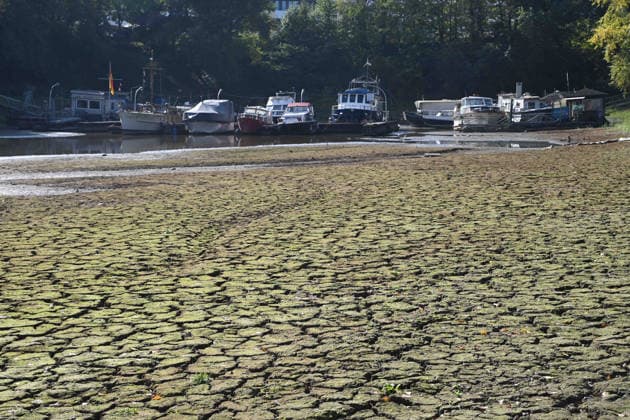 Das Niedrigwasser im Duesseldorfer Hafen hat eine grosse Sandbank freigelegt, Steine und Sand am Ufer, Hafenbecken A, Motorboote und Yachten liegen auf dem Grund, Duesseldorf am 05.10.2026,