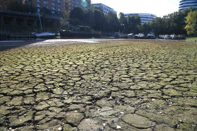 Das Niedrigwasser im Duesseldorfer Hafen hat eine grosse Sandbank freigelegt, Steine und Sand am Ufer, Hafenbecken A, Motorboote und Yachten liegen auf dem Grund, Duesseldorf am 05.10.2026,