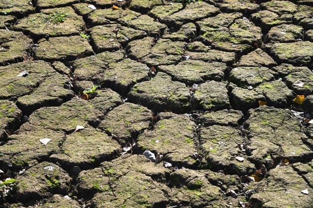 Das Niedrigwasser im Duesseldorfer Hafen hat eine grosse Sandbank freigelegt, Steine und Sand am Ufer, Hafenbecken A, Motorboote und Yachten liegen auf dem Grund, Duesseldorf am 05.10.2026,