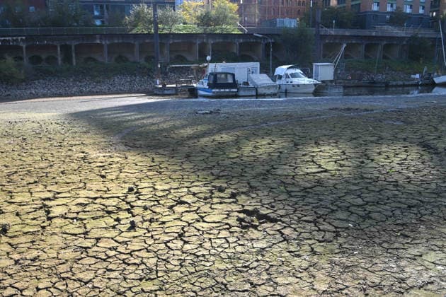 Das Niedrigwasser im Duesseldorfer Hafen hat eine grosse Sandbank freigelegt, Steine und Sand am Ufer, Hafenbecken A, Motorboote und Yachten liegen auf dem Grund, Duesseldorf am 05.10.2026,
