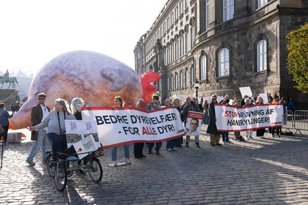 Opening of the Folketing: Demonstration in front of Christiansborg Demonstration at the opening of the Folketing at Christiansborg Palace in Copenhagen, Tuesday, October 6, 2026. (Photo: Claus Bech Ritzau Scanpix) , Copenhagen Denmark