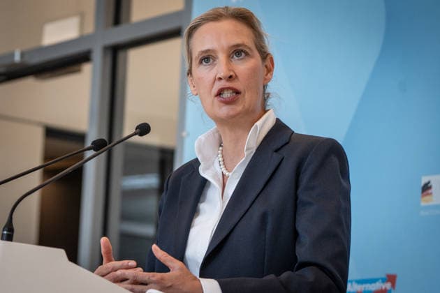 Alice Weidel, AfD-Partei- und Fraktionsvorsitzende;Pressestatement der beiden Parteivorsitzenden und Fraktionsvorsitzenden der AfD vor Beginn der Fraktionssitzung im Deutschen Bundestag, Berlin Berlin Deutschland Bundestag