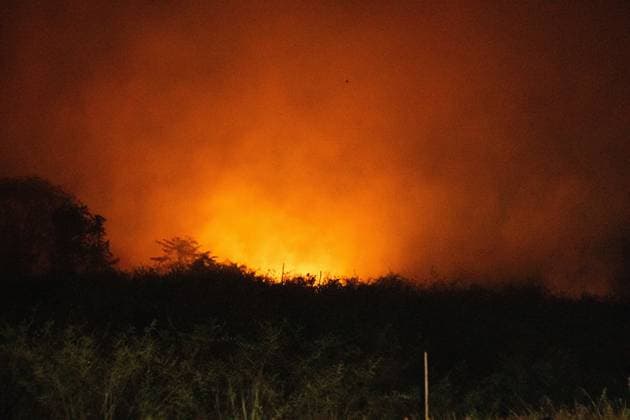 Land Fire Burns in Jambi, Indonesia JAMBI, INDONESIA, OCTOBER 6, 2026: Firefighters battle a land fire burning through trees and vegetation in the Penyengat Rendah area of Jambi City, as local residents observe the blaze. Forest and land fires across parts of Jambi and Sumatra continue to affect air quality and raise environmental concerns during the dry season. Jambi Indonesia Copyright: x xPrabanndaruxWahyuajix xJNAxPressx
