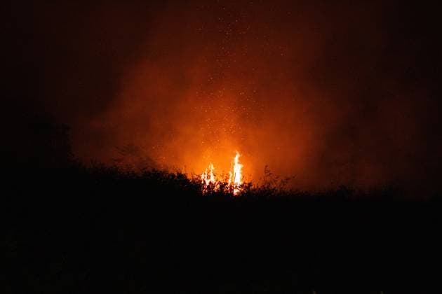 October 6, 2026, Jambi, Indonesia: JAMBI, INDONESIA, OCTOBER 6, 2026: Firefighters battle a land fire burning through trees and vegetation in the Penyengat Rendah area of Jambi City, as local residents observe the blaze. Forest and land fires across parts of Jambi and Sumatra continue to affect air quality and raise environmental concerns during the dry season. Jambi Indonesia  - ZUMAq101 20261006_zna_q101_121 Copyright: xPrabanndaruxWahyuajix