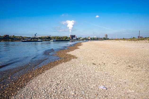 Extremes Niedrigwasser am Rhein, hier bei Duisburg-Neuenkamp, trocken gefallenes Ufer, Pegel zur Zeit der Aufnahme bei 131cm in DU-Ruhrort, über 20cm unter der bisherigen je gemessnen Tiefstmarke von 2018, starke Einschränkungen für die Binnenschifffahrt, NRW, Deutschland Rhein Niedrigwasser