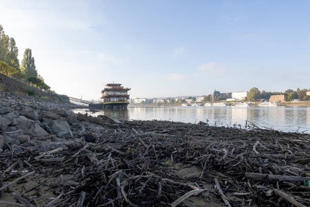 Niedrigwasser am Rhein in Bonn-Beuel Bonn-Beuel, 7. Oktober 2026: Der Rhein führt deutliches Niedrigwasser. Am Ufer in Bonn-Beuel sind weite Bereiche des freiliegenden Rheinufers und der flachen Uferzonen sichtbar. Der niedrige Wasserstand verändert das gewohnte Erscheinungsbild des Rheins und lässt die Auswirkungen der anhaltenden Trockenheit deutlich erkennen. Bonn Beuel Nordrhein-Westfalen Deutschland