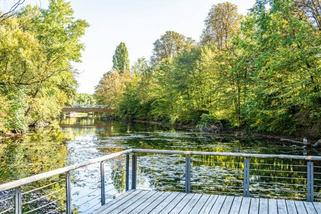 Sonne statt Herbstgrau: Kehl genießt mildes Oktoberwetter, Sonniges und für die Jahreszeit mildes Herbstwetter sorgt am Mittwoch, 7. Oktober 2026, in Kehl für beinahe spätsommerliche Eindrücke. Noch bestimmt Hochdruckeinfluss mit sehr milder Luft das Wetter in Süddeutschland. Die freundliche Wetterphase ist jedoch nur von kurzer Dauer: Nach Angaben des Deutschen Wetterdienstes zieht ab Mittwochabend von Westen ein kräftiger Tiefausläufer auf. In der Nacht zum Donnerstag und am Donnerstag sind gebietsweise Regen, örtlich Starkregen sowie einzelne Gewitter möglich. Kehl Baden-Württemberg Deutschland Kehl