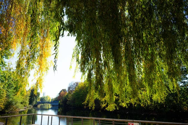 Sonne statt Herbstgrau: Kehl genießt mildes Oktoberwetter, Sonniges und für die Jahreszeit mildes Herbstwetter sorgt am Mittwoch, 7. Oktober 2026, in Kehl für beinahe spätsommerliche Eindrücke. Noch bestimmt Hochdruckeinfluss mit sehr milder Luft das Wetter in Süddeutschland. Die freundliche Wetterphase ist jedoch nur von kurzer Dauer: Nach Angaben des Deutschen Wetterdienstes zieht ab Mittwochabend von Westen ein kräftiger Tiefausläufer auf. In der Nacht zum Donnerstag und am Donnerstag sind gebietsweise Regen, örtlich Starkregen sowie einzelne Gewitter möglich. Kehl Baden-Württemberg Deutschland Kehl