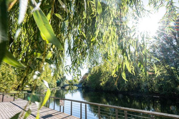 Sonne statt Herbstgrau: Kehl genießt mildes Oktoberwetter, Sonniges und für die Jahreszeit mildes Herbstwetter sorgt am Mittwoch, 7. Oktober 2026, in Kehl für beinahe spätsommerliche Eindrücke. Noch bestimmt Hochdruckeinfluss mit sehr milder Luft das Wetter in Süddeutschland. Die freundliche Wetterphase ist jedoch nur von kurzer Dauer: Nach Angaben des Deutschen Wetterdienstes zieht ab Mittwochabend von Westen ein kräftiger Tiefausläufer auf. In der Nacht zum Donnerstag und am Donnerstag sind gebietsweise Regen, örtlich Starkregen sowie einzelne Gewitter möglich. Kehl Baden-Württemberg Deutschland Kehl