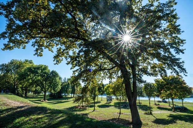 Sonne statt Herbstgrau: Kehl genießt mildes Oktoberwetter, Sonniges und für die Jahreszeit mildes Herbstwetter sorgt am Mittwoch, 7. Oktober 2026, in Kehl für beinahe spätsommerliche Eindrücke. Noch bestimmt Hochdruckeinfluss mit sehr milder Luft das Wetter in Süddeutschland. Die freundliche Wetterphase ist jedoch nur von kurzer Dauer: Nach Angaben des Deutschen Wetterdienstes zieht ab Mittwochabend von Westen ein kräftiger Tiefausläufer auf. In der Nacht zum Donnerstag und am Donnerstag sind gebietsweise Regen, örtlich Starkregen sowie einzelne Gewitter möglich. Kehl Baden-Württemberg Deutschland Kehl