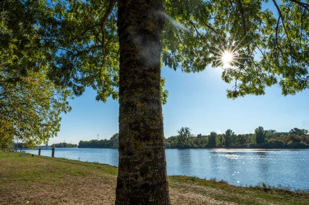 Sonne statt Herbstgrau: Kehl genießt mildes Oktoberwetter, Sonniges und für die Jahreszeit mildes Herbstwetter sorgt am Mittwoch, 7. Oktober 2026, in Kehl für beinahe spätsommerliche Eindrücke. Noch bestimmt Hochdruckeinfluss mit sehr milder Luft das Wetter in Süddeutschland. Die freundliche Wetterphase ist jedoch nur von kurzer Dauer: Nach Angaben des Deutschen Wetterdienstes zieht ab Mittwochabend von Westen ein kräftiger Tiefausläufer auf. In der Nacht zum Donnerstag und am Donnerstag sind gebietsweise Regen, örtlich Starkregen sowie einzelne Gewitter möglich. Kehl Baden-Württemberg Deutschland Kehl
