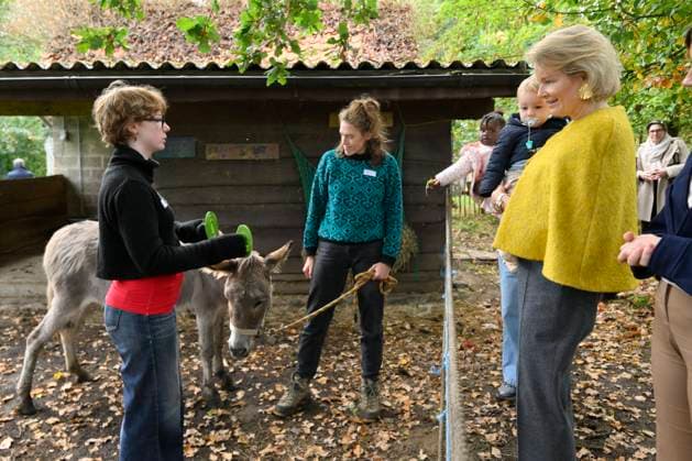 Queen Mathilde Visits Winners Of the 2026 Queen Mathilde Prize GREZ-DOICEAU, BELGIUM - OCTOBER 08: Queen Mathilde of Belgium pictured visiting two organizations that won the 2026 Queen Mathilde Prize : Vzw Alba, on October 08, 2026 in Grez-Doiceau, Belgium, 08 10 2026 Grez-Doiceau Belgium  Copyright: xPhilipxReynaersx